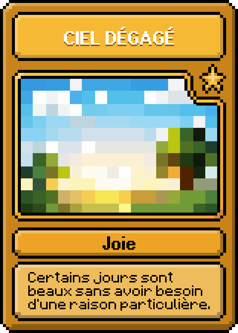 Carte Joie